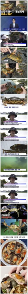 외래종 대처 방안