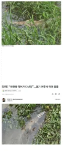 여주시 근황 소식
