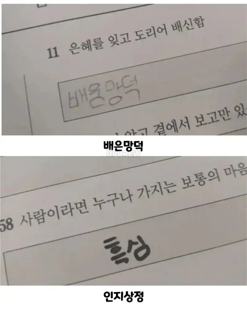 아이들 사자성어 시험 봤어요