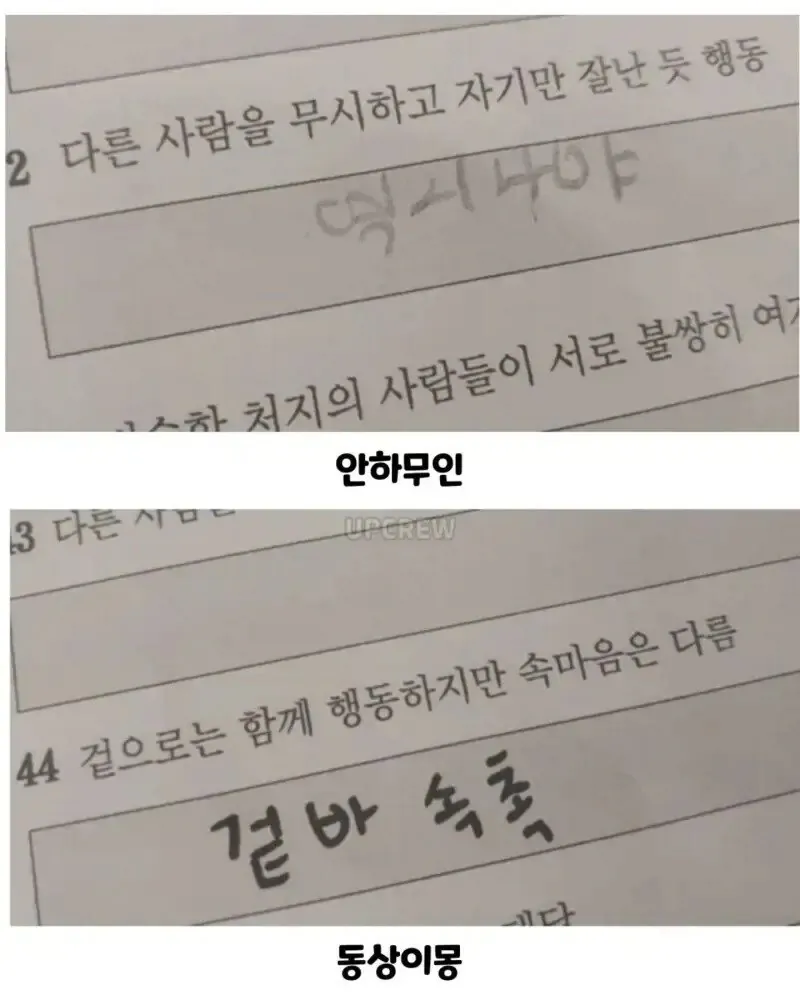 아이들 사자성어 시험 봤어요