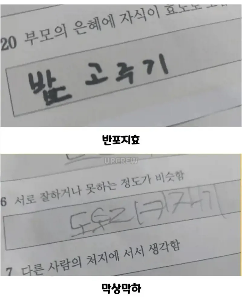 아이들 사자성어 시험 봤어요