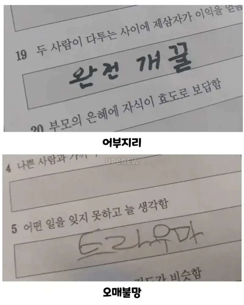 아이들 사자성어 시험 봤어요