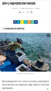 전복 치패 방류 사업 진행 상황