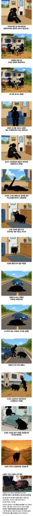 돼지 덕분에 목숨을 건진 사람.jpg