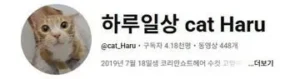 오냐 오냐 키웠던 우리 냥이