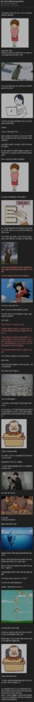 중소기업에서 99% 겪고 있는 흔한 루트
