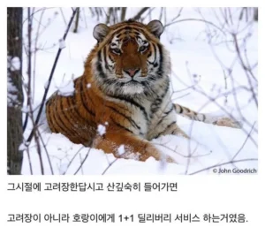 '고려장'이라는 말이 계속 나오는데, 아직도 그런 말을 쓰나.
