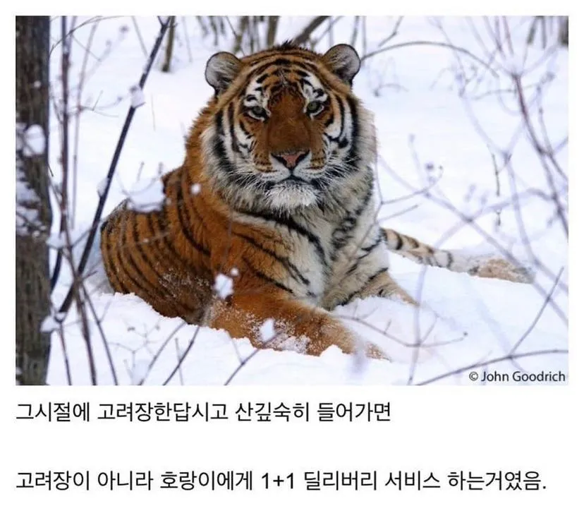 '고려장'이라는 말이 계속 나오는데, 아직도 그런 말을 쓰나.