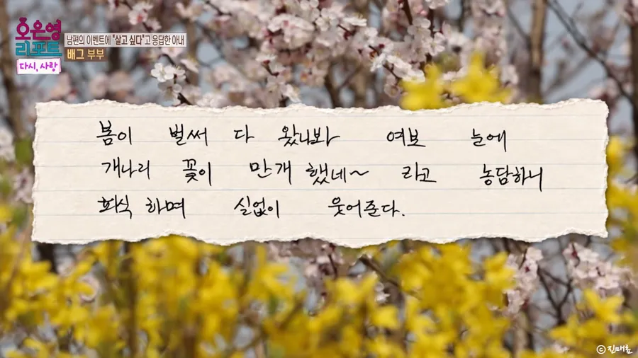 배그 부부 소식
