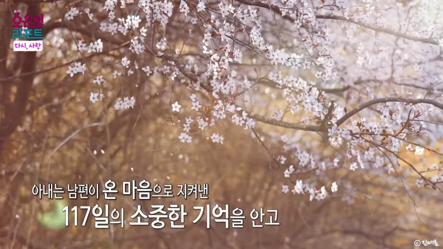 배그 부부 소식