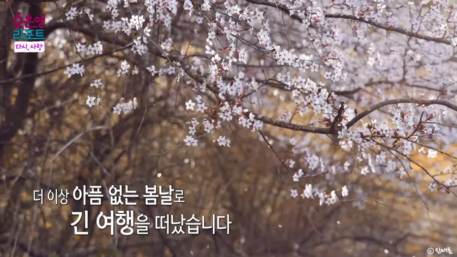 배그 부부 소식