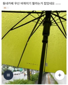 우산을 공용 우산통에 꽂기 망설여지는 이유