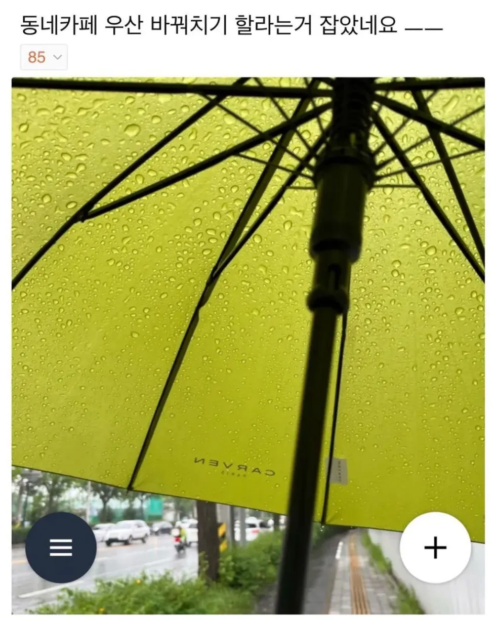 우산을 공용 우산통에 꽂기 망설여지는 이유