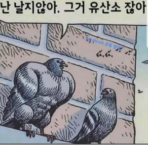 장식이 되어가는 날개, 이 동물은?