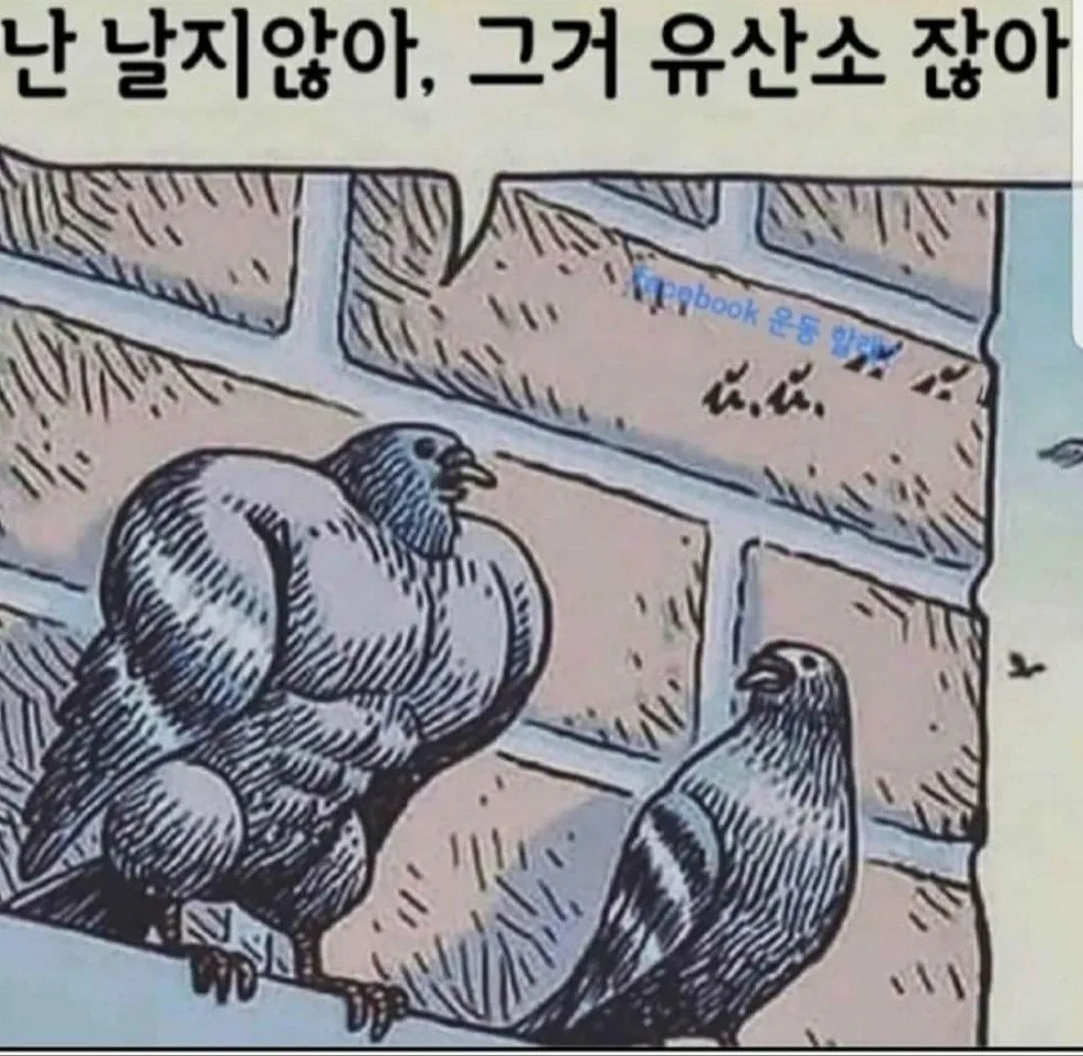 장식이 되어가는 날개, 이 동물은?