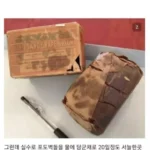 미국에서 가장 성공적이지 못했던 발명품