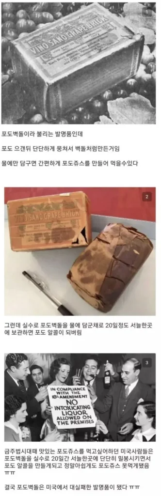 미국에서 가장 성공적이지 못했던 발명품