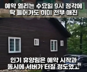 인기 휴양림 예약 왜 안 됐을까