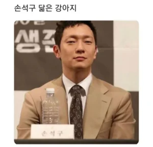 연예인과 닮은 강아지 사진 모음