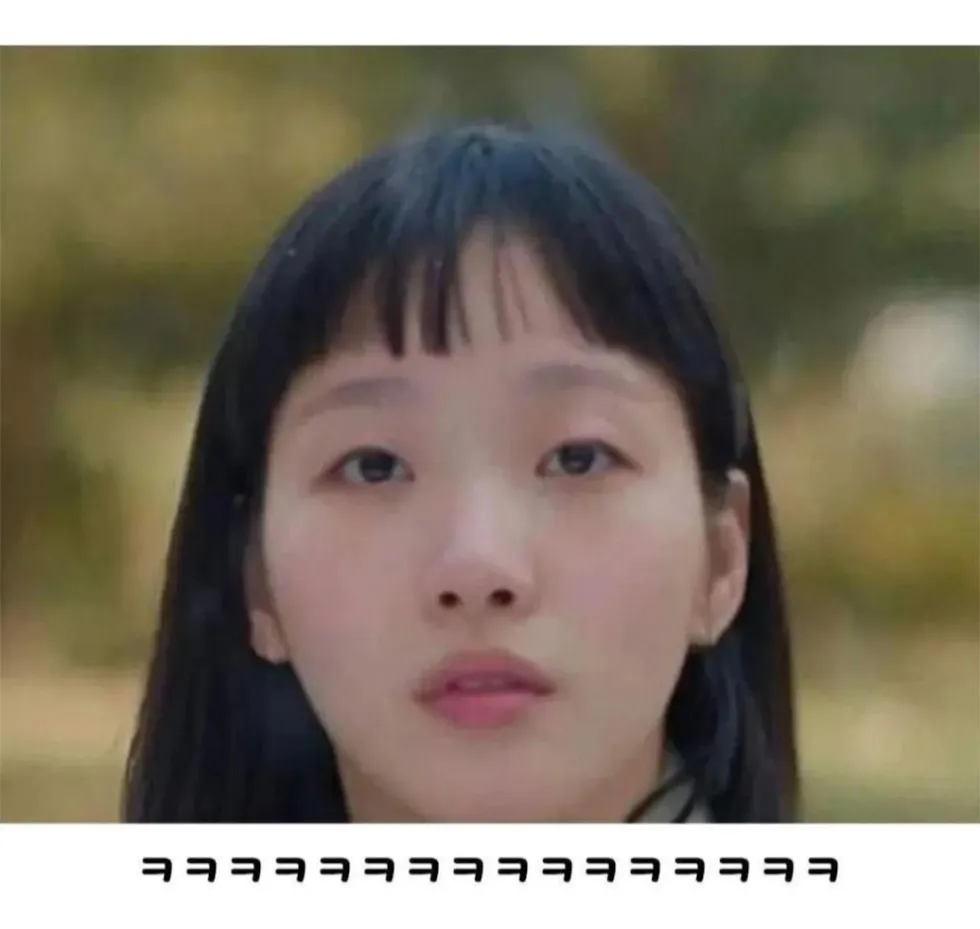 연예인과 닮은 강아지 사진 모음