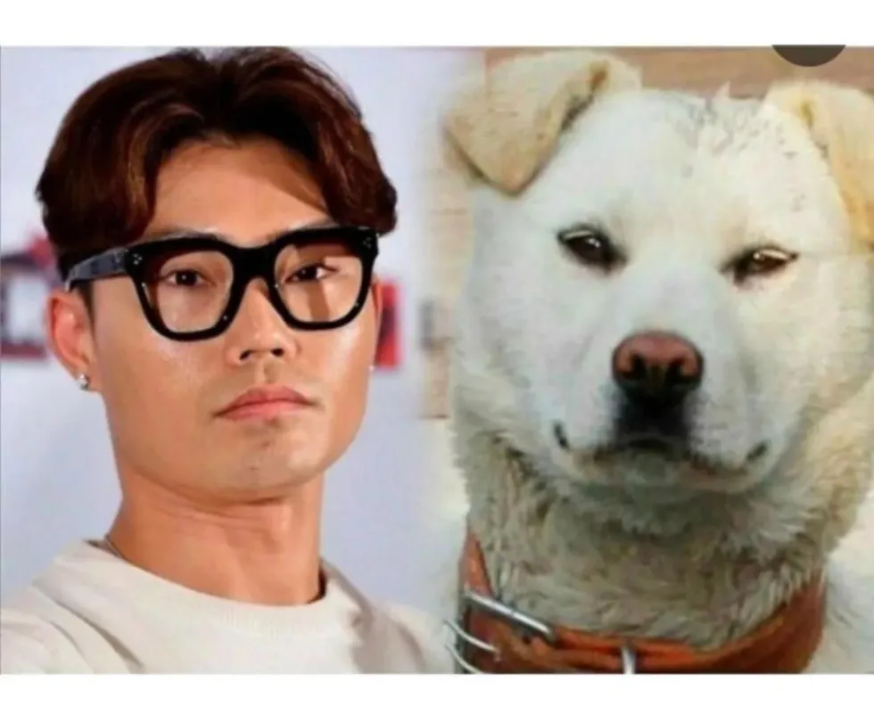 연예인과 닮은 강아지 사진 모음