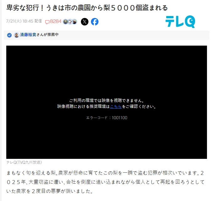 일본 농장, 배 5000개 도난 후 농사 포기 선언