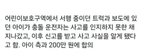 어린이보호구역 사고, 한문철TV 분석