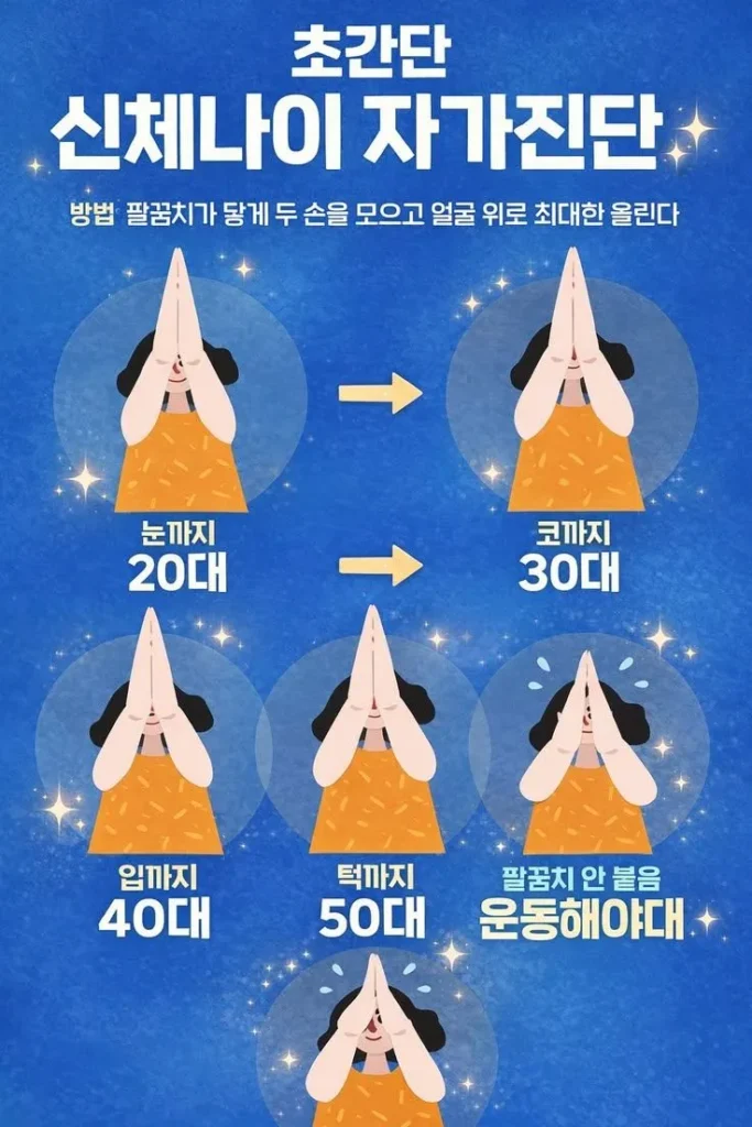 간이 살려달라고 소리치는 신호 + 초간단 신체나이 자가진단