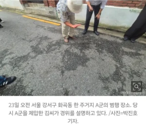 화곡동 여고생 피습 사건, "엄마 도와줘" 외침… "뒤쫓던 남학생이 흉기 휘둘러"