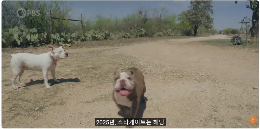 미국 지역 주민들, 데이터센터 건설에 극심한 반대
