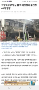 고양이 파양 후 캣대디의 끔찍한 방화 사건