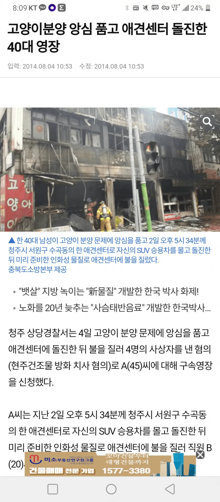 고양이 파양 후 캣대디의 끔찍한 방화 사건