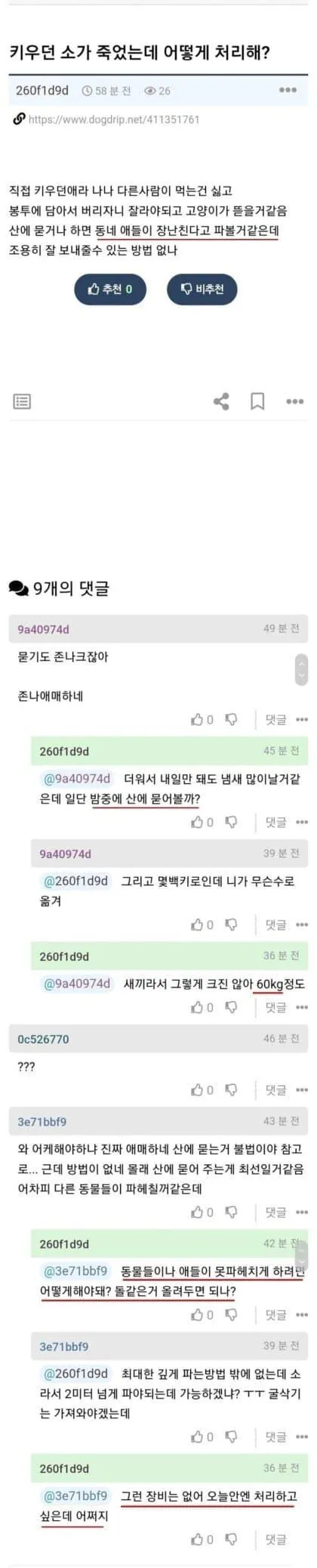 키우던 소가 죽었을 때, 처리 방법은?