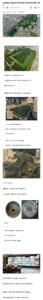 일본, 세계 최대 규모 무덤 발굴 않는 이유