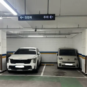 매너 주차의 정점