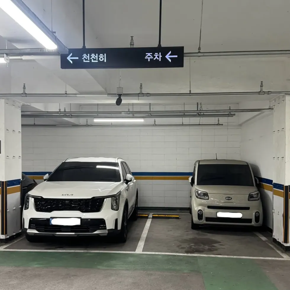 매너 주차의 정점