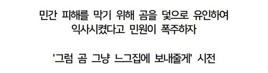 곰 익사시켰다고 난리난 일본.news