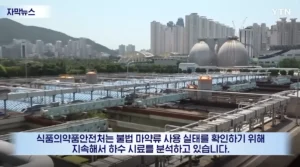 한국 마약 침투, 임계점 넘었다는 보도