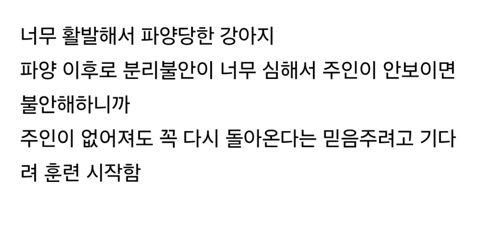 1등한 강아지, 기다려대회에서 우승