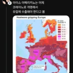 이제 유럽에서도 즐기는 음료