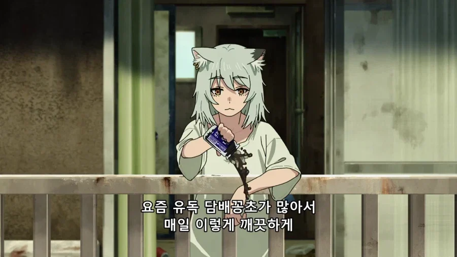 이번 분기 인기 애니메이션.jpg