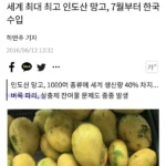 벼룩파리, 한국에 나타난 까닭은?