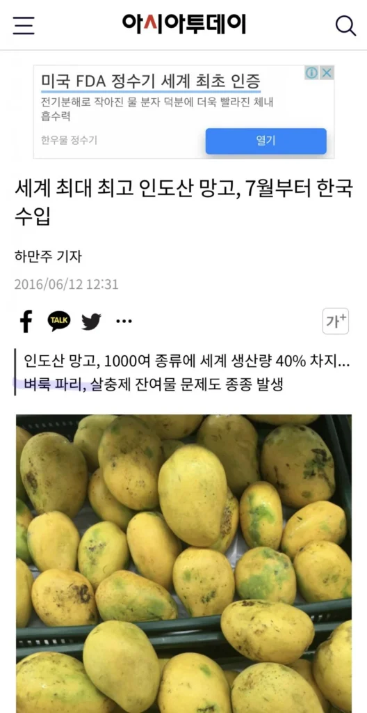 벼룩파리, 한국에 나타난 까닭은?
