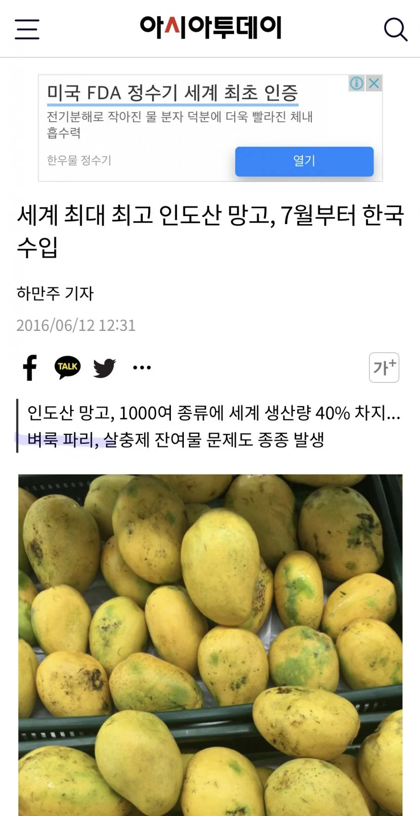 벼룩파리, 한국에 나타난 까닭은?
