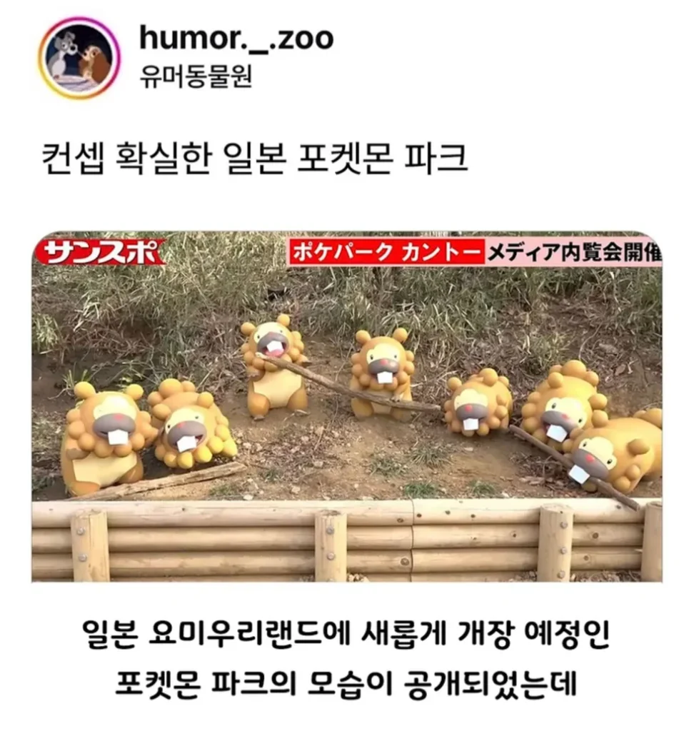 일본 포켓몬 파크, 컨셉 명확