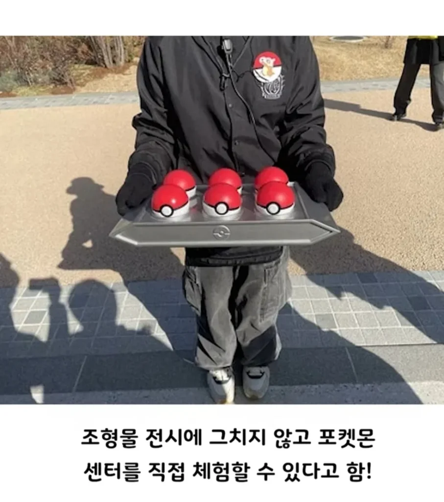 일본 포켓몬 파크, 컨셉 명확