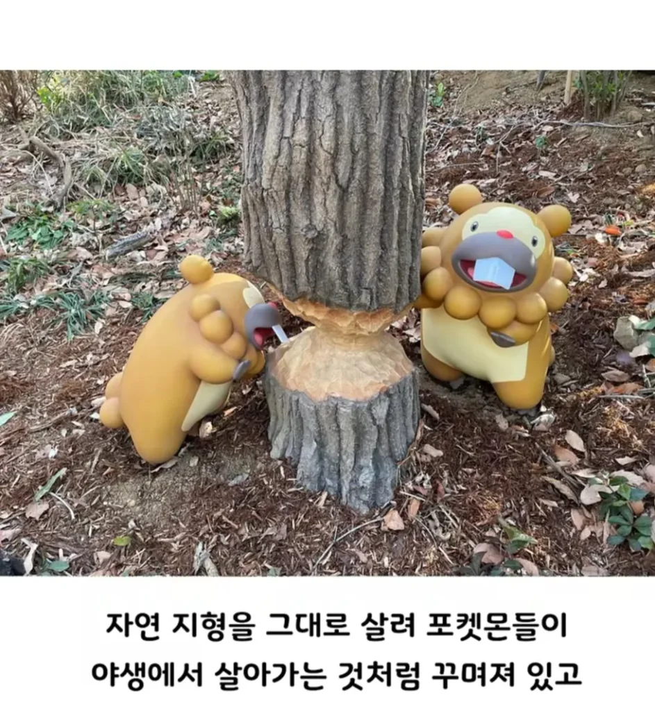 일본 포켓몬 파크, 컨셉 명확