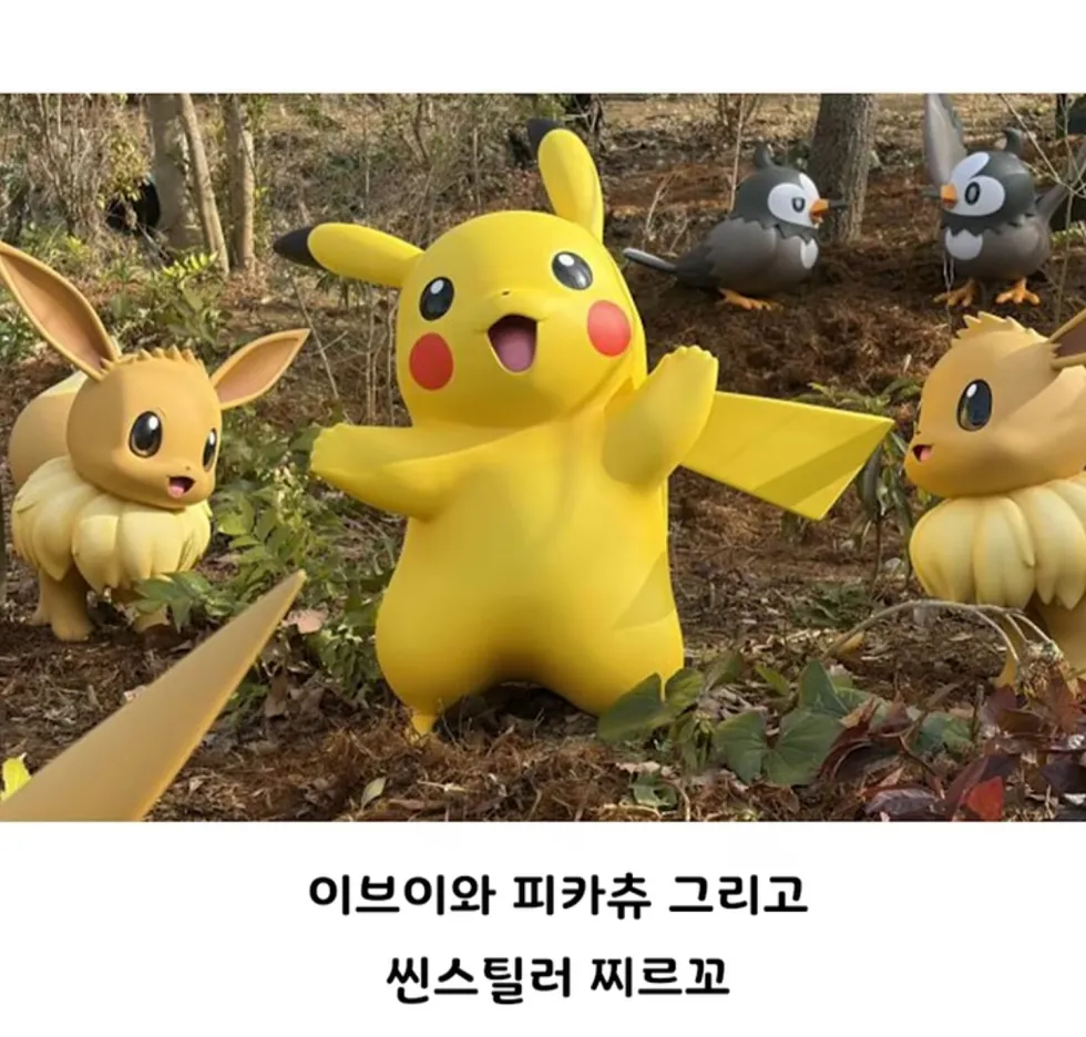 일본 포켓몬 파크, 컨셉 명확