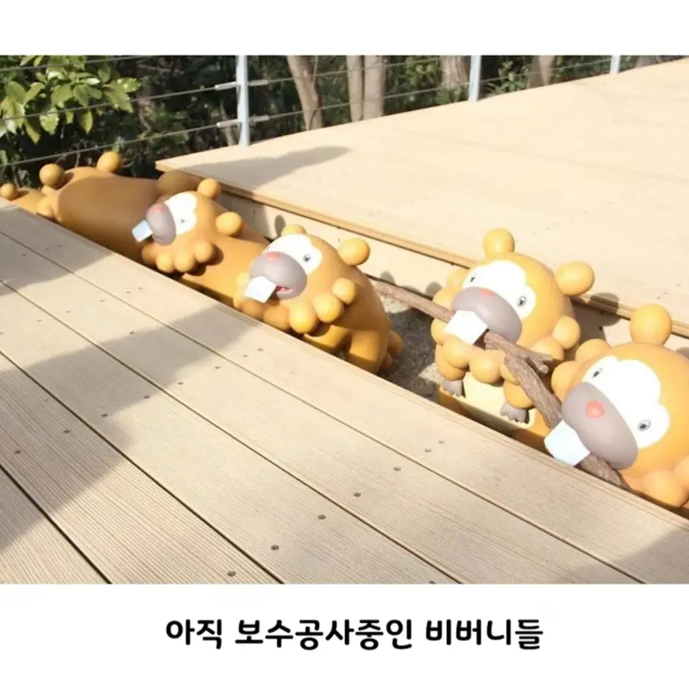 일본 포켓몬 파크, 컨셉 명확
