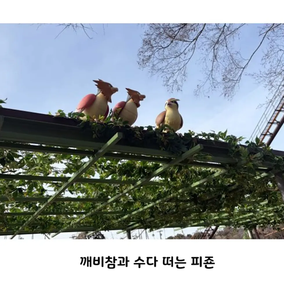일본 포켓몬 파크, 컨셉 명확